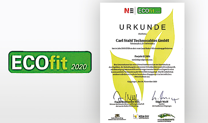 ECOfit company award